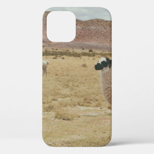 WHITE LLAMA ON BROWN GRASS iPhone 12 CASE