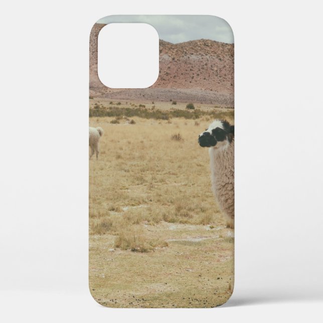 WHITE LLAMA ON BROWN GRASS Case-Mate iPhone CASE (Back)