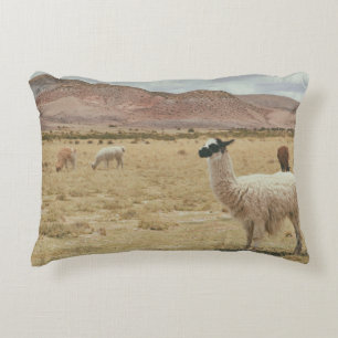 WHITE LLAMA ON BROWN GRASS DECORATIVE CUSHION