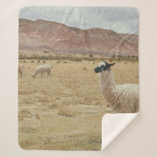 WHITE LLAMA ON BROWN GRASS SHERPA BLANKET