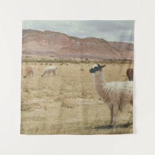 WHITE LLAMA ON BROWN GRASS TAPESTRY