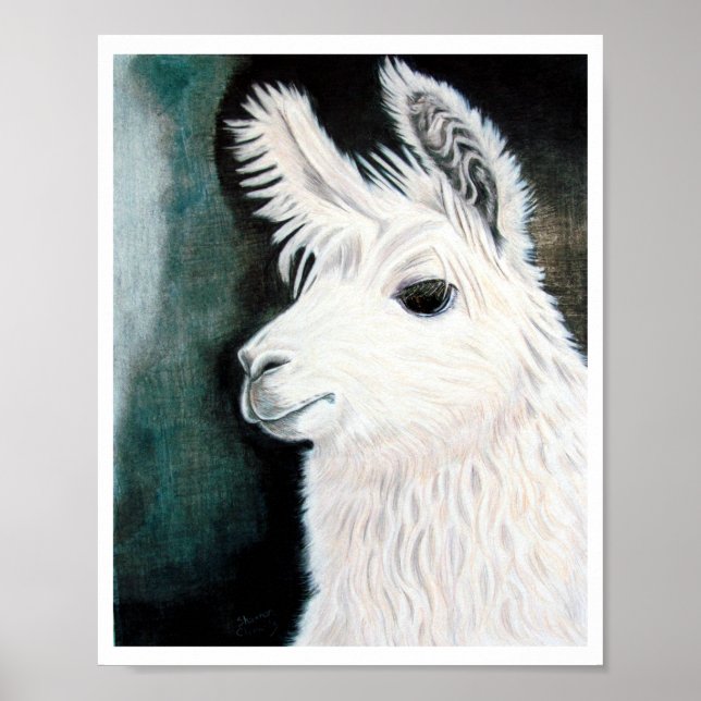 White Llama Poster (Front)