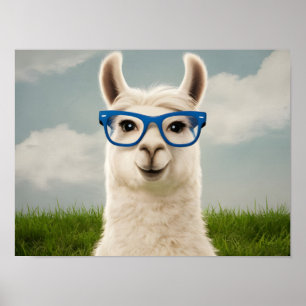 White Llama with Blue Glasses  Poster