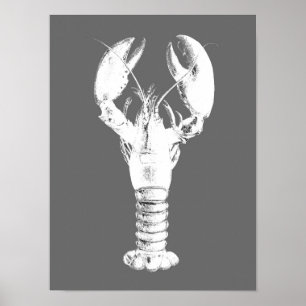 White Lobster on Grey / Grey Poster