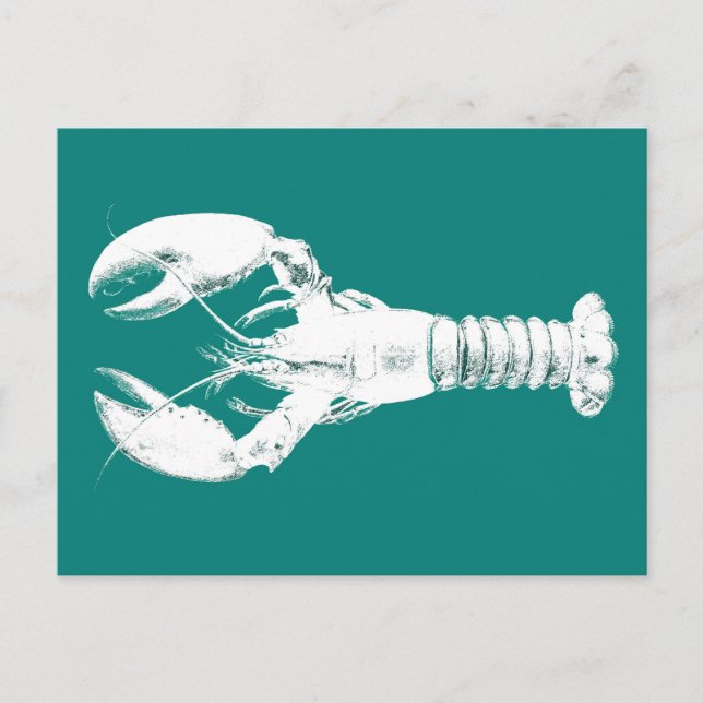 White Lobster on Turquoise / Teal Postcard (Front)