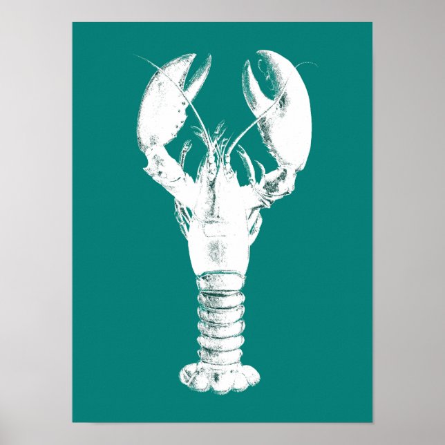 White Lobster on Turquoise / Teal Poster (Front)
