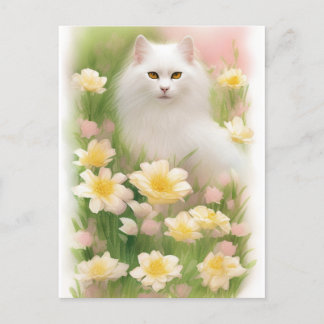 White Long Haired Cat Postcard