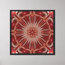 White Lotus 18