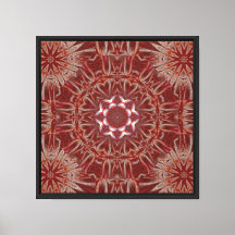White Lotus 19