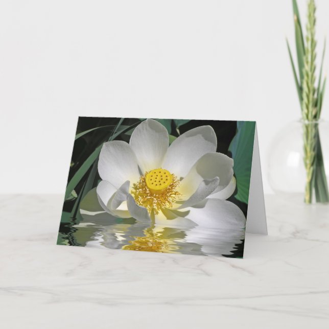 White Lotus Card (Front)