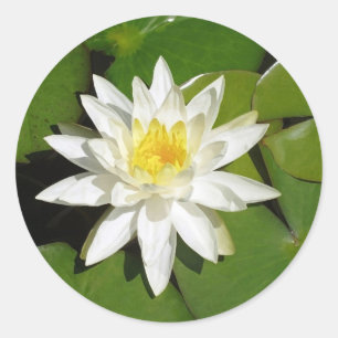 White Lotus Classic Round Sticker
