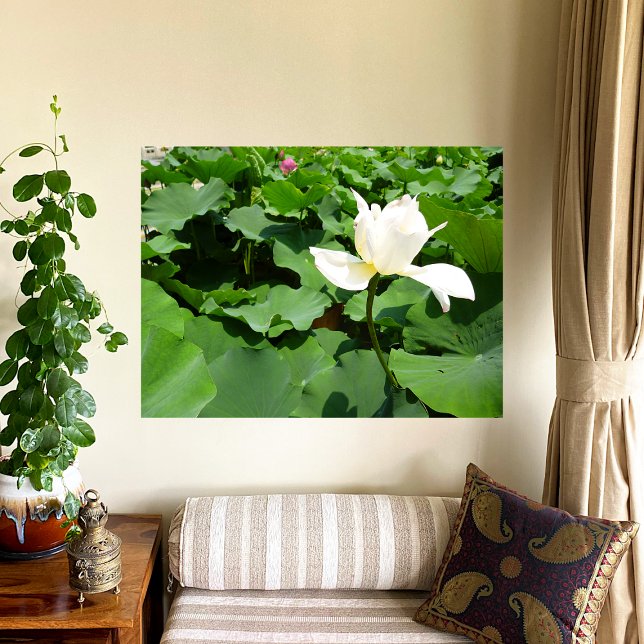 White Lotus Flower Canvas Print (Creator Uploaded)