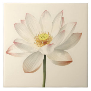 White Lotus Flower Ceramic Tile