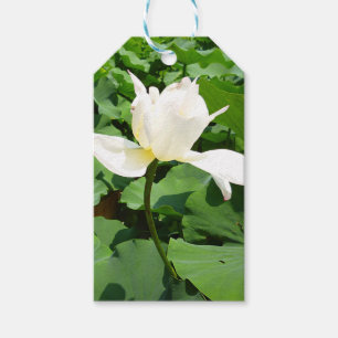 White Lotus Flower Gift Tags