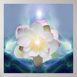 White lotus flower in blue crystal poster