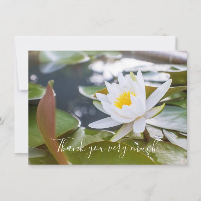 White lotus flower in the pond thank you card (Front)