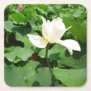 White Lotus Flower Square Paper Coaster