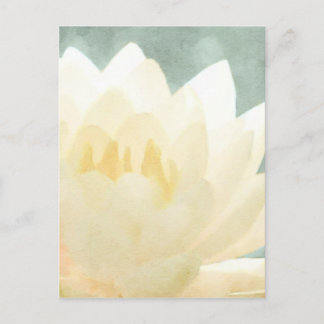 White Lotus Postcard