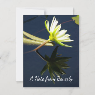 White Lotus Waterlily Card