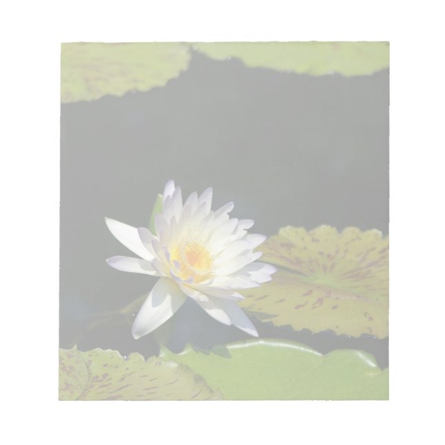 White Lotus Waterlily Flower Notepad (Front)