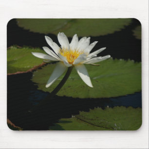 White Lotus Waterlily Lily Pads Mouse Pad