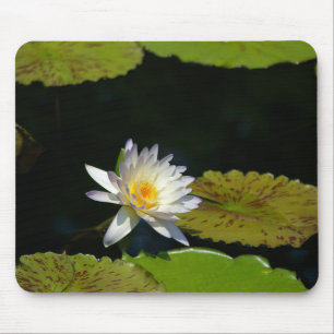 White Lotus Waterlily Lily Pads Mouse Pad