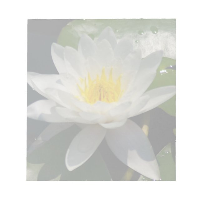 White Lotus Waterllly Flower Notepad (Front)