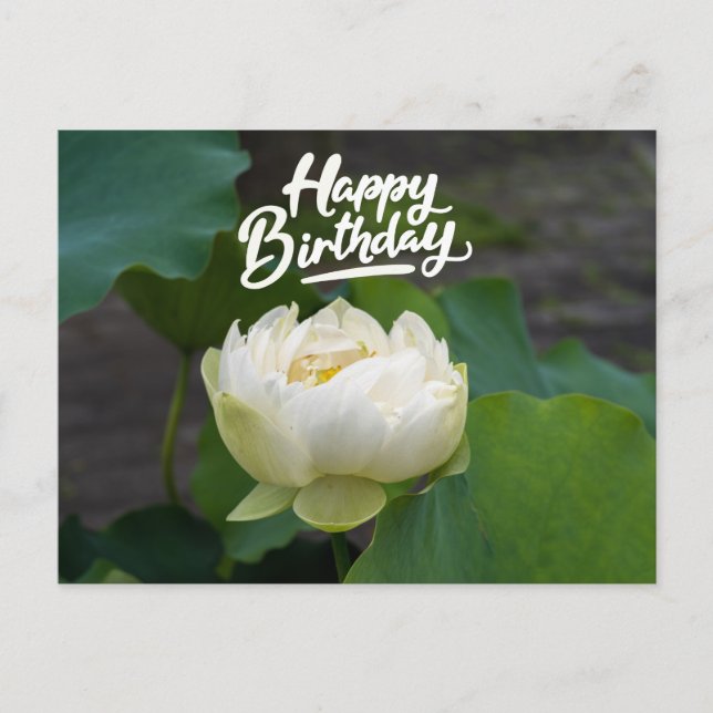 White lotus with word Happy Birthday  Postcard (Front)
