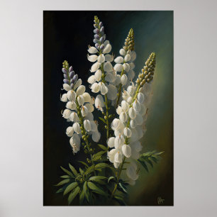 White Lupine Flower Art Print Poster