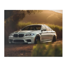 White M5 Customised Car