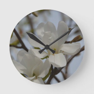White Magnolia Blooming in the Spring Round Clock