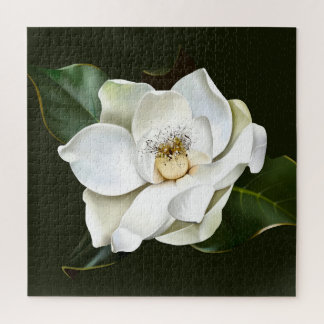 White Magnolia Closeup Green Background Jigsaw Puzzle