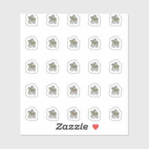 White Magnolia Contour Stickers