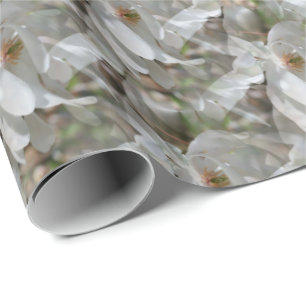 White Magnolia Flower Blossoms Nature   Wrapping Paper