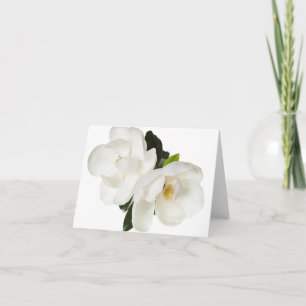 White Magnolia Flower Magnolias Floral Flowers Card