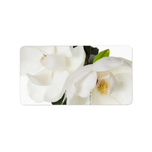 White Magnolia Flower Magnolias Floral Flowers Label