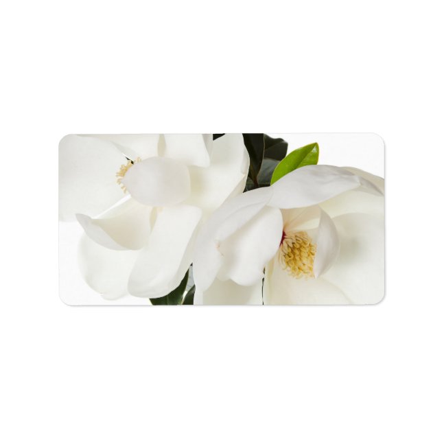 White Magnolia Flower Magnolias Floral Flowers Label (Front)