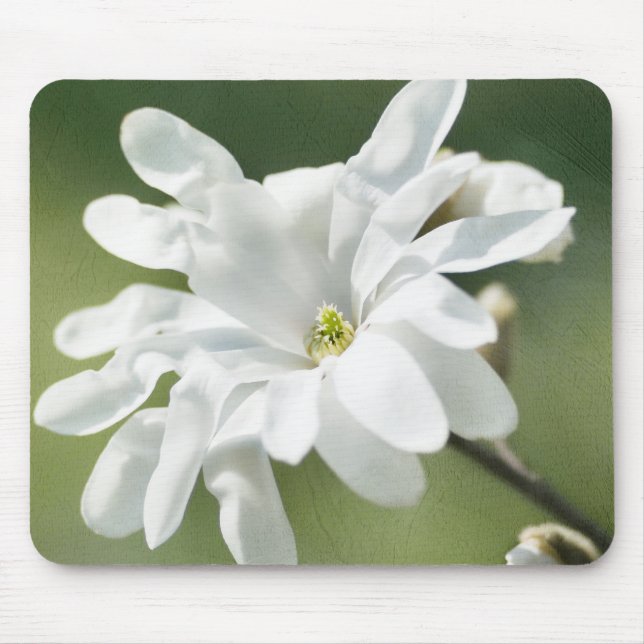 White Magnolia Flower Mouse Pad (Front)