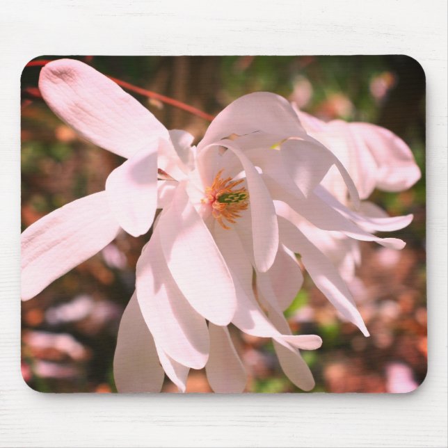 White Magnolia Flower  Mouse Pad (Front)