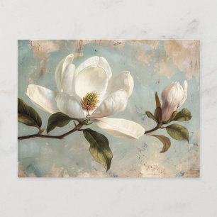White Magnolia Flowers Vintage Postcard