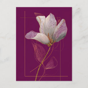 White Magnolia Gold Line Magenta Postcard
