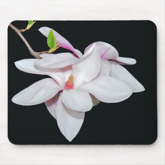 White Magnolia Mouse Pad (Front)