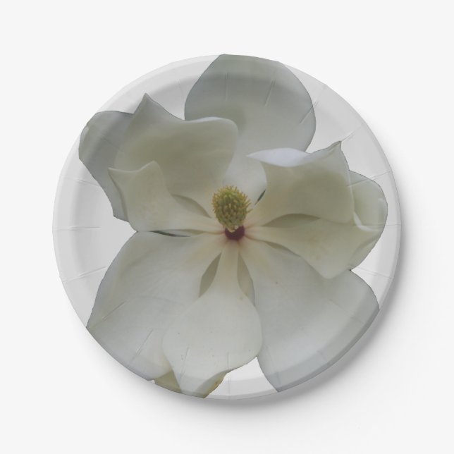 White Magnolia on paper plate (Front)