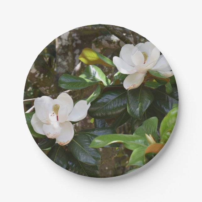 White Magnolia Paper Plate (Front)
