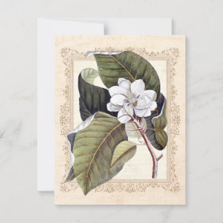 White Magnolia Southern Wedding Save the Date