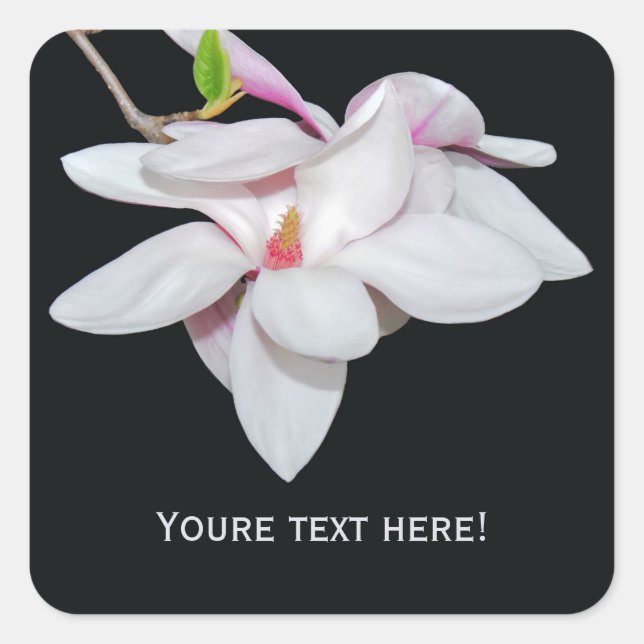 White Magnolia Square Sticker (Front)