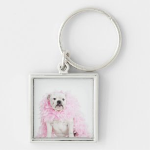 White male dog with pink boa key ring