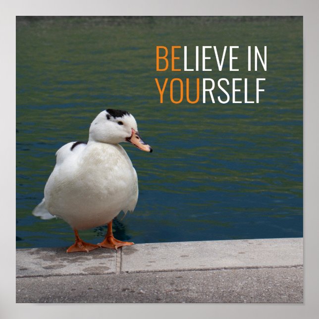 White Mallard Duck Photo Poster (Front)