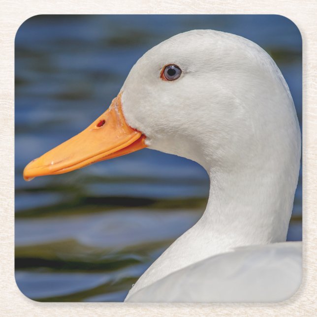 White Mallard Duck Square Paper Coaster (Front)