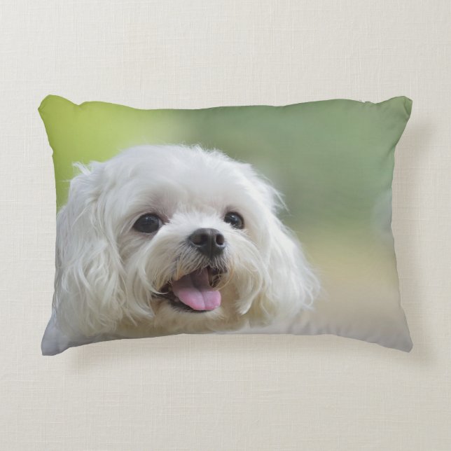 White Maltese Dog Decorative Cushion (Front)